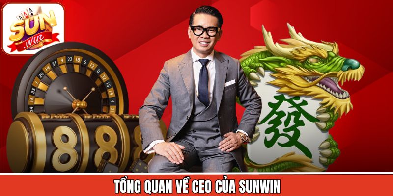 Tổng quan về CEO của Sunwin